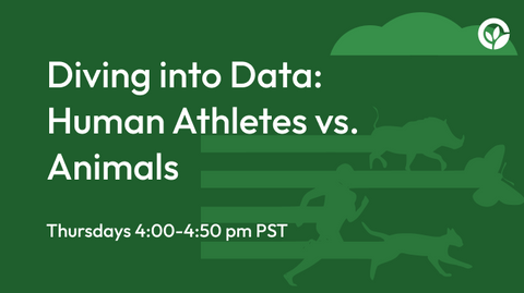 Diving into Data: Human Athletes vs. Animals